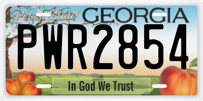 GA license plate PWR2854