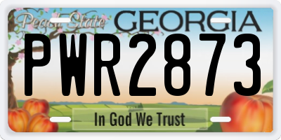 GA license plate PWR2873