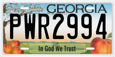 GA license plate PWR2994