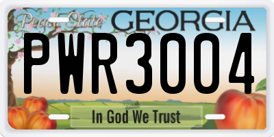GA license plate PWR3004