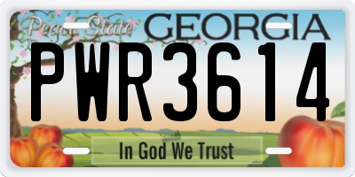 GA license plate PWR3614