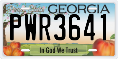 GA license plate PWR3641