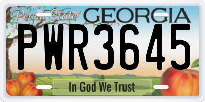 GA license plate PWR3645