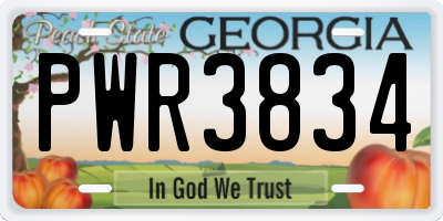 GA license plate PWR3834