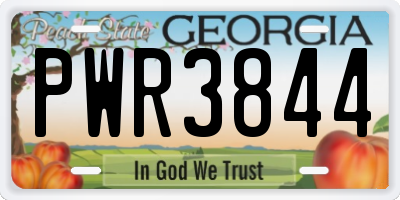 GA license plate PWR3844