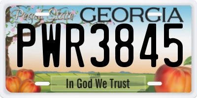 GA license plate PWR3845