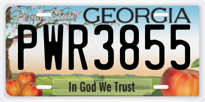 GA license plate PWR3855