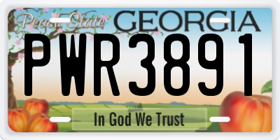 GA license plate PWR3891