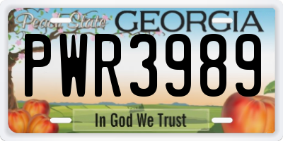 GA license plate PWR3989
