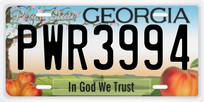 GA license plate PWR3994