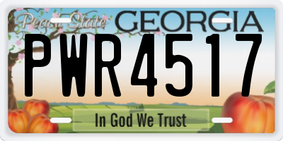 GA license plate PWR4517