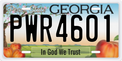 GA license plate PWR4601