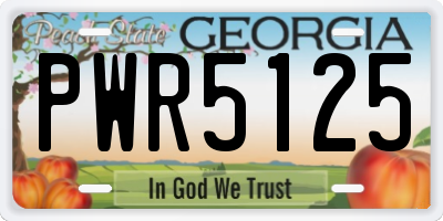 GA license plate PWR5125