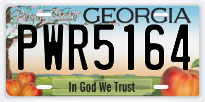 GA license plate PWR5164