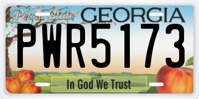 GA license plate PWR5173