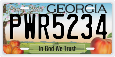 GA license plate PWR5234