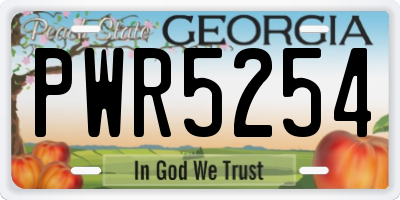 GA license plate PWR5254