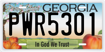 GA license plate PWR5301