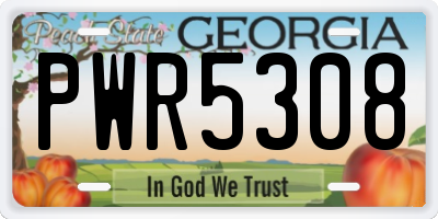 GA license plate PWR5308