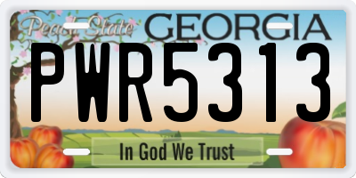 GA license plate PWR5313