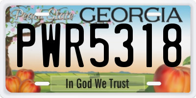 GA license plate PWR5318
