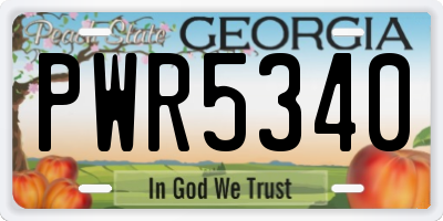 GA license plate PWR5340