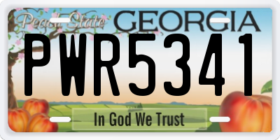 GA license plate PWR5341