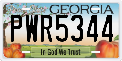 GA license plate PWR5344