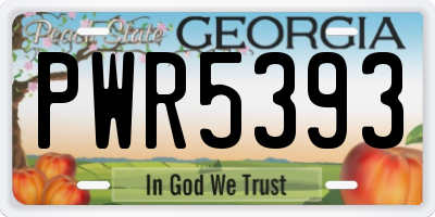 GA license plate PWR5393