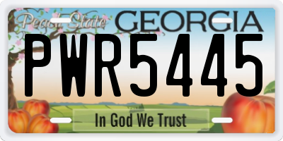 GA license plate PWR5445