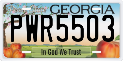 GA license plate PWR5503