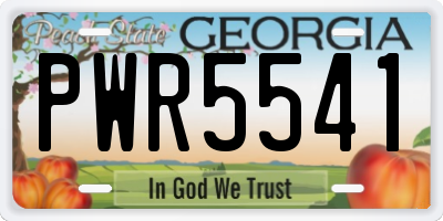 GA license plate PWR5541