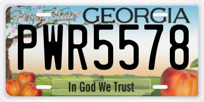 GA license plate PWR5578
