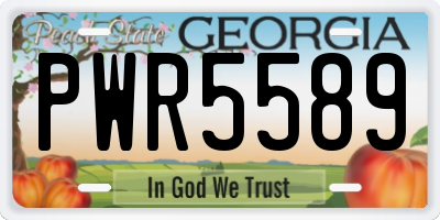GA license plate PWR5589