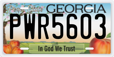 GA license plate PWR5603