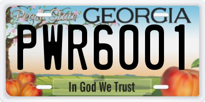 GA license plate PWR6001