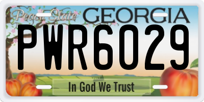 GA license plate PWR6029
