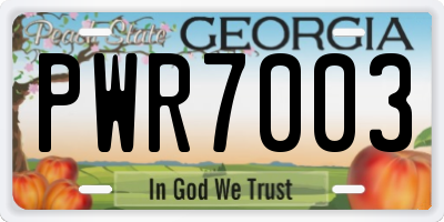 GA license plate PWR7003