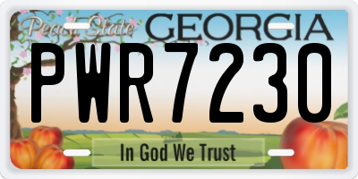GA license plate PWR7230