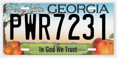 GA license plate PWR7231