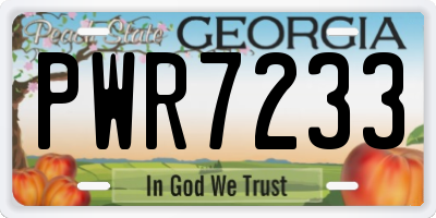 GA license plate PWR7233