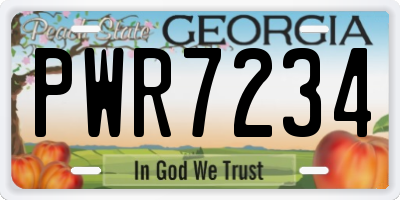 GA license plate PWR7234