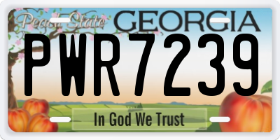 GA license plate PWR7239