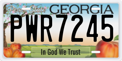 GA license plate PWR7245