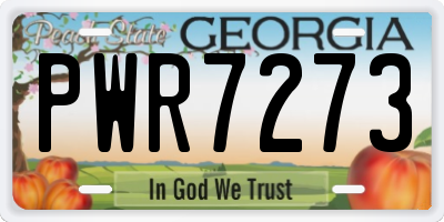GA license plate PWR7273