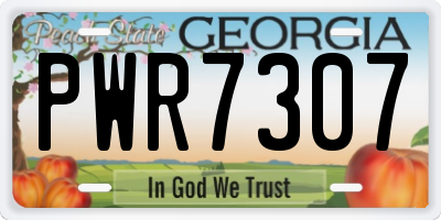 GA license plate PWR7307