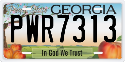 GA license plate PWR7313