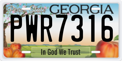 GA license plate PWR7316