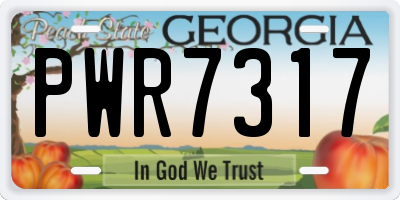 GA license plate PWR7317