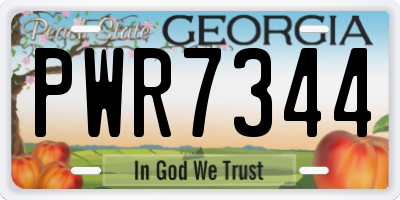 GA license plate PWR7344
